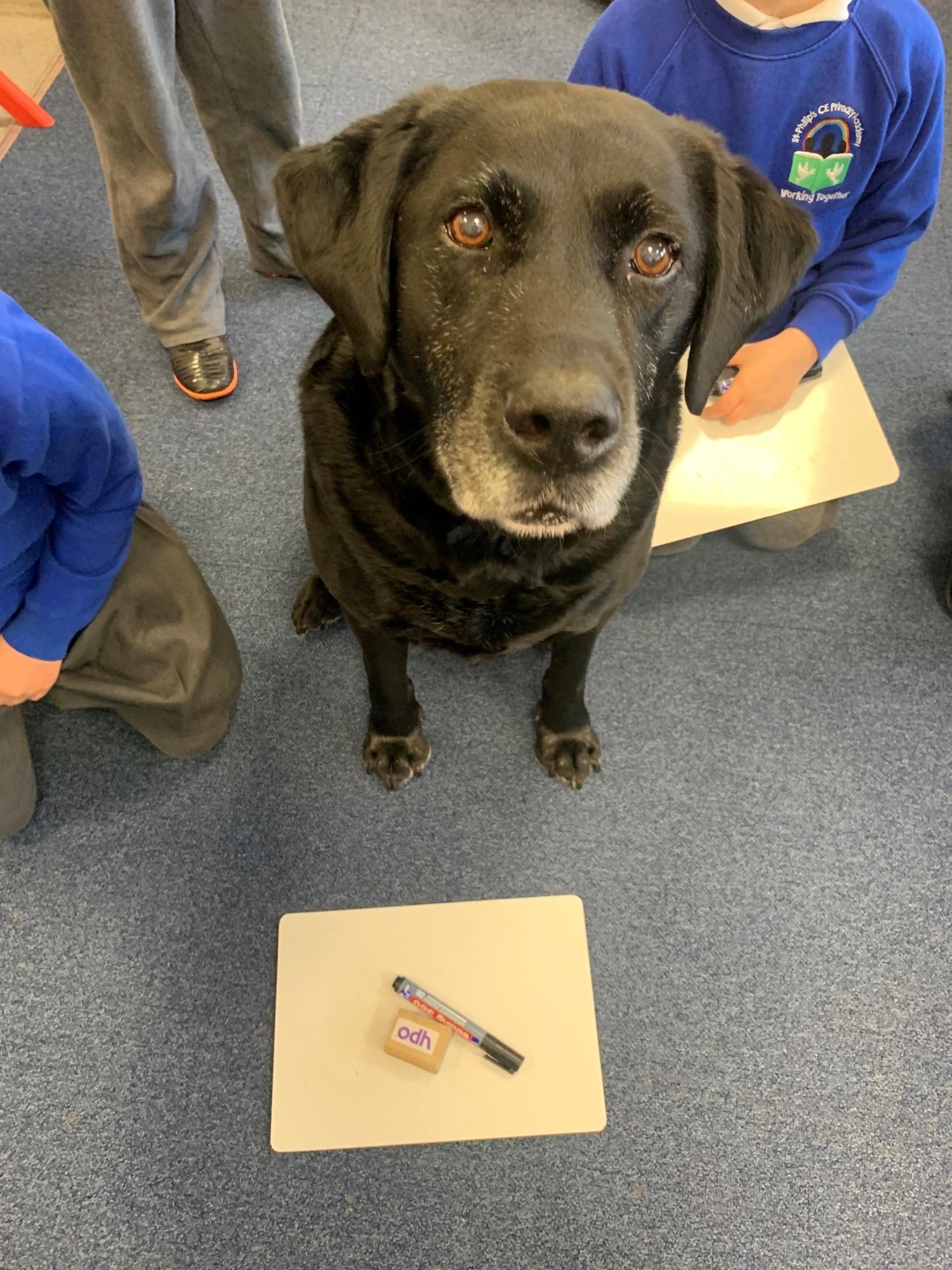 Eric, what is the covering of a tree trunk called?